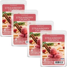 왁스 멜트 큐브 방향제 24개 세트 Scentsationals 티라이트 향초 워머 사용가능 Girlfriend Night [미국출고], 딸기크런치