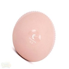 아특 웨이트 메디신 볼 0.5kg 2개