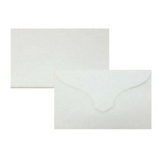 우진 명함봉투 100매ver4+6mHc