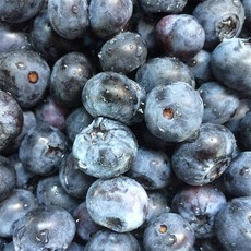 늘푸른 블루베리 생과, 2개, 125g(대과)