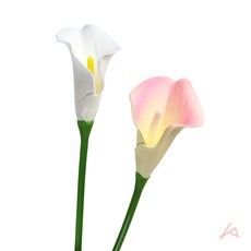 슬우네PICK 카라 조화꽃 장식꽃, 화이트, 1개