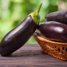 싱싱한 국내산 가지 생가지 (최상품), 가지 5kg