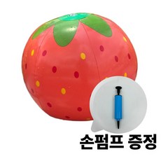 호두네잡화점 과일 비치볼, 1개, 딸기, 26cm