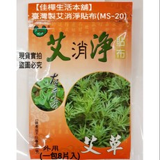 艾消淨貼布 台灣製艾草貼布 MS-20, 1個