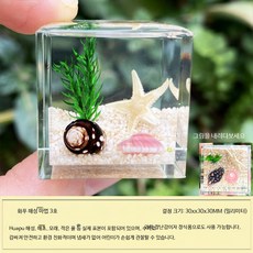 견본 곤충 표본 박스 곤충표본세트 생물학적 모형 선물용 과학교구 과학실험키트, B_해성 입방 3호, 1개