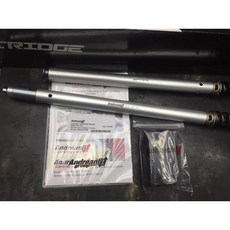 義大利 Andreani Group 競技前叉強化套件【 AK550 專用】, 1個