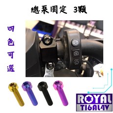 【瘋螺絲】黑箭401 專區 原廠總泵固定螺絲組 64正鈦/鈦合金螺絲 出貨附發票 四色可選, 1個, 皇家紫