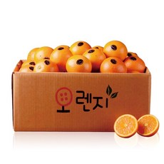 G)고당도 블랙라벨 오렌지 중소과 15과_2.3kg, 01.블랙라벨 오렌지 중소과 15과_2.3kg