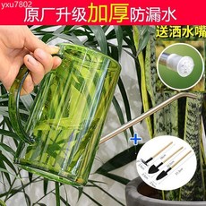 不銹鋼長嘴澆花水壺園藝花灑噴壺澆水壺大容量家用灑水壺澆水神器, 【油油綠】高清刻度1L,淋澆兩用【灑水壺+灑水嘴】, 1個