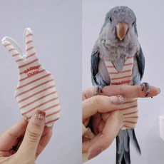 V領窄條鸚鵡尿布兜 立體款 固定肩帶 大容量, 1個, 粉條紋款(送2米帶彈力的放飛繩),玄鳳型號