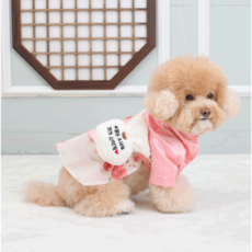 럽둥이네 포근 복주머니 백 가방 강아지 한복 소형견 중형견 대형견 설날, 용돈