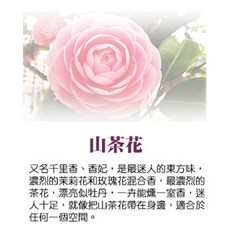 QIDINA 法式精油香氛噴霧 100ml 多款香味 噴灑瓶, 1個, 山茶花