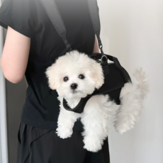 Jeernare 강아지 슬링백 애견 앞가방 백팩 강아지 포대기 반려동물 프론트백 중소형견 이동가방 버클형 앞뒤사용가능, 1세트, 블랙