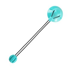 寵世界 吸盤漏食寵物玩具球 耐咬藏食互動玩具 狗玩具, 1個, 吸盤耐咬球【圓頭 小】