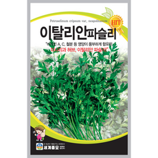 파슬리씨 파슬리종자 씨앗 200립, 1개