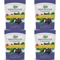 네이쳐스웨이 삼부커스 아연정 페퍼민트 24정, 4개