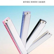 孔聲24孔複音C調口琴 - 初學者入門練習自學樂器, 1個, 白色 c調, 白色