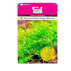 아람종묘 허브 딜 씨앗 300p, 1개 1개