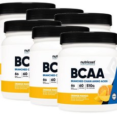 뉴트리코스트 아미노산 파우더 오렌지망고맛 Nutricost BCAA, 6개, 510g