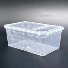 중형 파충류 크레스티드 게코 도마뱀 사육장 H9tae2+4rgG