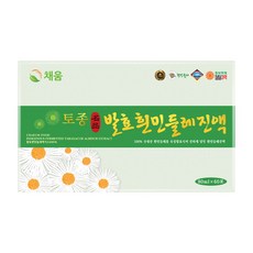 채움웰 토종 발효 흰민들레진액 흰민들레즙, 80ml, 60개