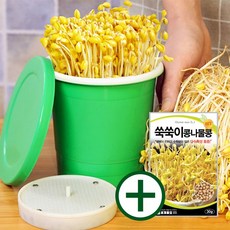 콩나물재배기+콩나물콩 30g/콩나물 키우기 키트, 2세트