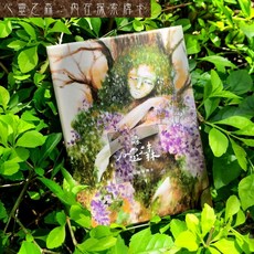 靈魂映像：心靈之森內在探索牌卡, 1個