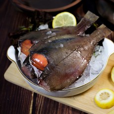 (생물) 봄의 제철 국민 생선 동해안 참 가자미(도다리), (대)원물 1.5kg, 1개