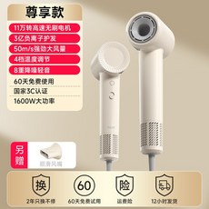 반려동물 울트라 저소음 고속 펫 헤어드라이어 강아지 고양이 전용, 업그레이드-음이온, 1개, 1L