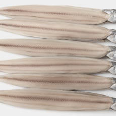 국내산 반건조 갈치 건갈치 구이 조림, 2개, 600g