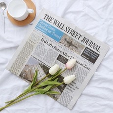 영자신문 감성 영어 2종 신문 영어신문 촬영 영자 사 영자신문 영어신문 NEWSPAPER 미국신문 영어잡지+셀러팩토리Shop, 브라운-단일상품