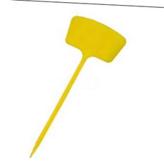 엠에스몰 칼라 T형 화분 식물 나무 이름표 36cm 수목표찰, 빨강