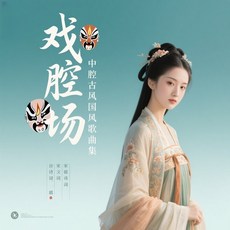 2025好聽的古風國風歌曲合集/流行電視劇插曲無損音樂6CD光盤碟片 唱片收藏 懷舊CD光碟