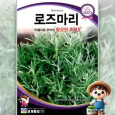 로즈마리 30립 라이벨 식용꽃 허브 꽃씨 씨앗 종자 세계, 1개