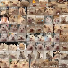 日式娃娃輔食餵養玩具 拉麵便噹盒套裝進餐餵食件 餵食玩具 兒童過家家 食物 兒童仿真 過家家女孩 餵食玩具食物 R54X, 1個, 僅貼紙一張