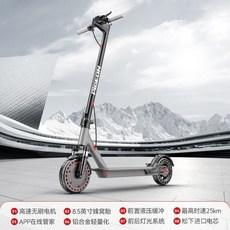 PIGEON 電動滑板車 鋁合金車身 8.5吋輪胎 可折疊, 1個, 7.8Ah 約24公里\進口電芯,S9 -定速巡航-APP控-無座位