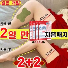 [2일 만에 효과보장] 1/1+1 다이어트 지흡패치 팔뚝 지흡패치 허벅지 전용 몸매관리 바디 종아리 지방 분해 쑥 성분 혈액순화 슬리밍 사은품 랜덤 증정, 4개, 12개입