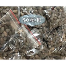 萬泰豐團購 台南小農採收 四季荷花碗蓮種子 50顆/包 品種混色 附蓮花種植指南, 1個, 台灣四季荷花碗蓮種子 50顆