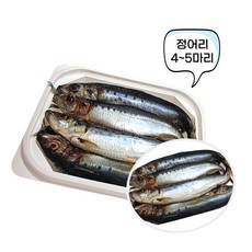 다잡아 싱싱정어리 텐빈/갈치낚시/선상낚시 강추 미끼 정어리, 1개