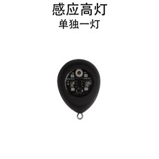 可視魚感應燈 八代充電式 智能感應浮漂 夜視探魚器 漁具, 1個, 感應高燈八代單獨燈