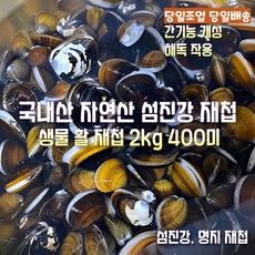 [산지직송] 국내산 자연산 섬진강 명지 햇 생물 재첩 활재첩 1kg 200미 내외. 2kg 400미 내외 4kg 800미 내외, 1박스, 섬진강 명지 햇 생물 재첩  2kg 400미 내외