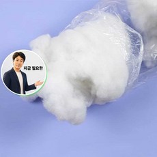 지금 필요한 충전솜 구름솜100g K31872EA, 본상품