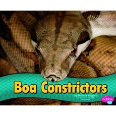 Boa Constrictors Library Binding, Capstone Press