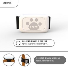 길고양이 강아지 위치추적 목 줄 넥 카메라 CCTV 무선 녹화 액션캠, 기본 구성품, 크림화이트