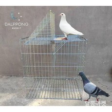 조류 회전 포획틀 새 잡는도구 유인망 자동 조류트랩, 40x40(총 높이75cm), 1개