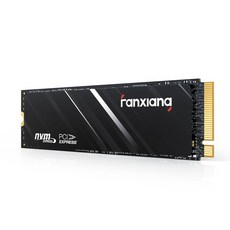 fanxiang M.2 NVMe SSD + NVMe 방열판 PCIe4.0 SSD, 500GB, S690Q 500GB, S690Q