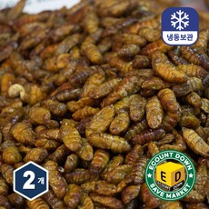 번데기 냉동번데기 길거리 간식의 대표 365일 안심포장 쪽빛누리, 1kg, 2개