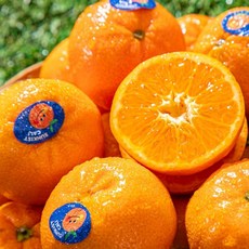고급스러운특상품 고당도 프리미엄 만다린감귤 특상품인것을 꼭기억해주세요, 1개, 1없음