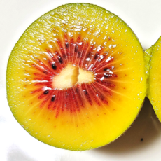 제주 레드키위 비타민C 식이섬유 22브릭스 산지직송, 1세트, 4.5kg중과[50-70g 내외]