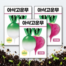 아삭고운무 씨앗 종자 100립, 3개
